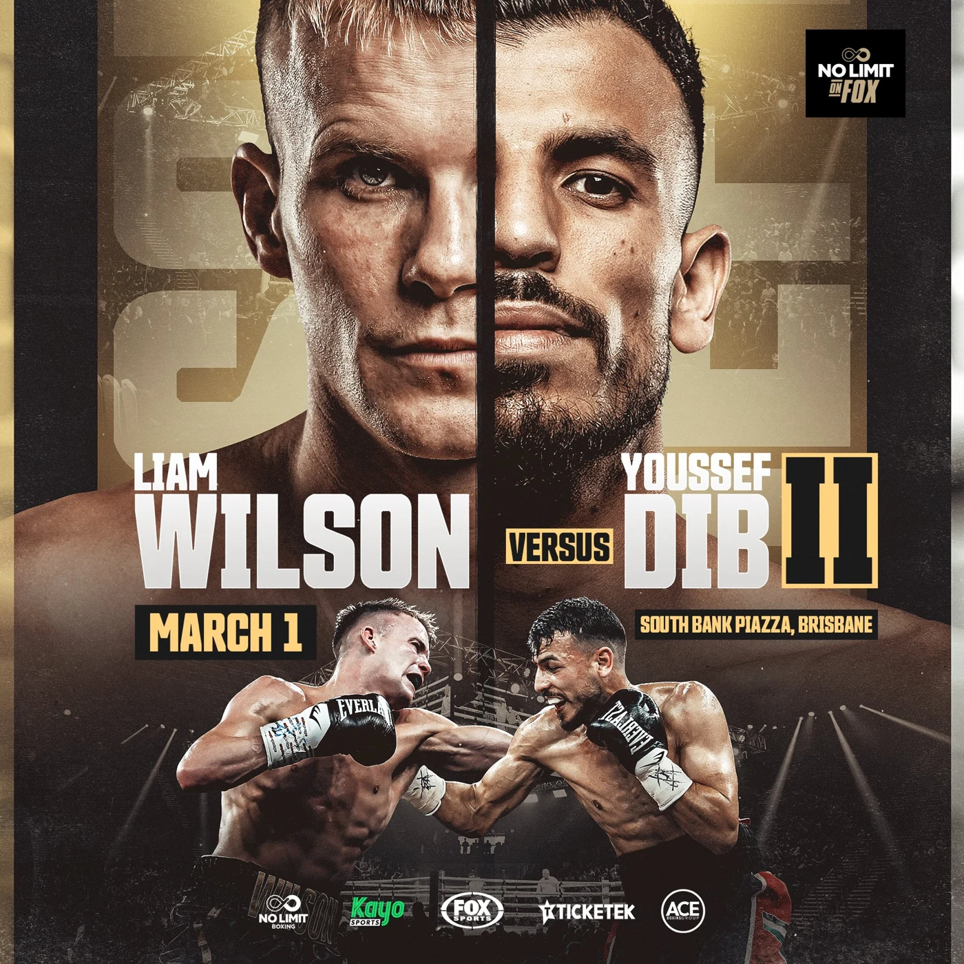 Wilson vs Dib II