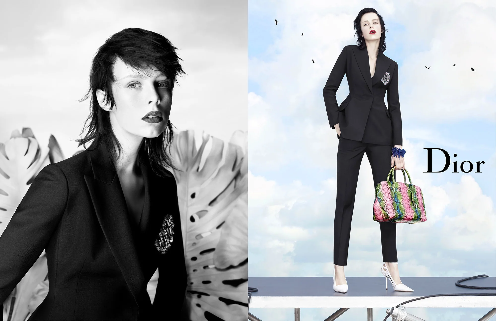 Dior Spring/Summer 2014