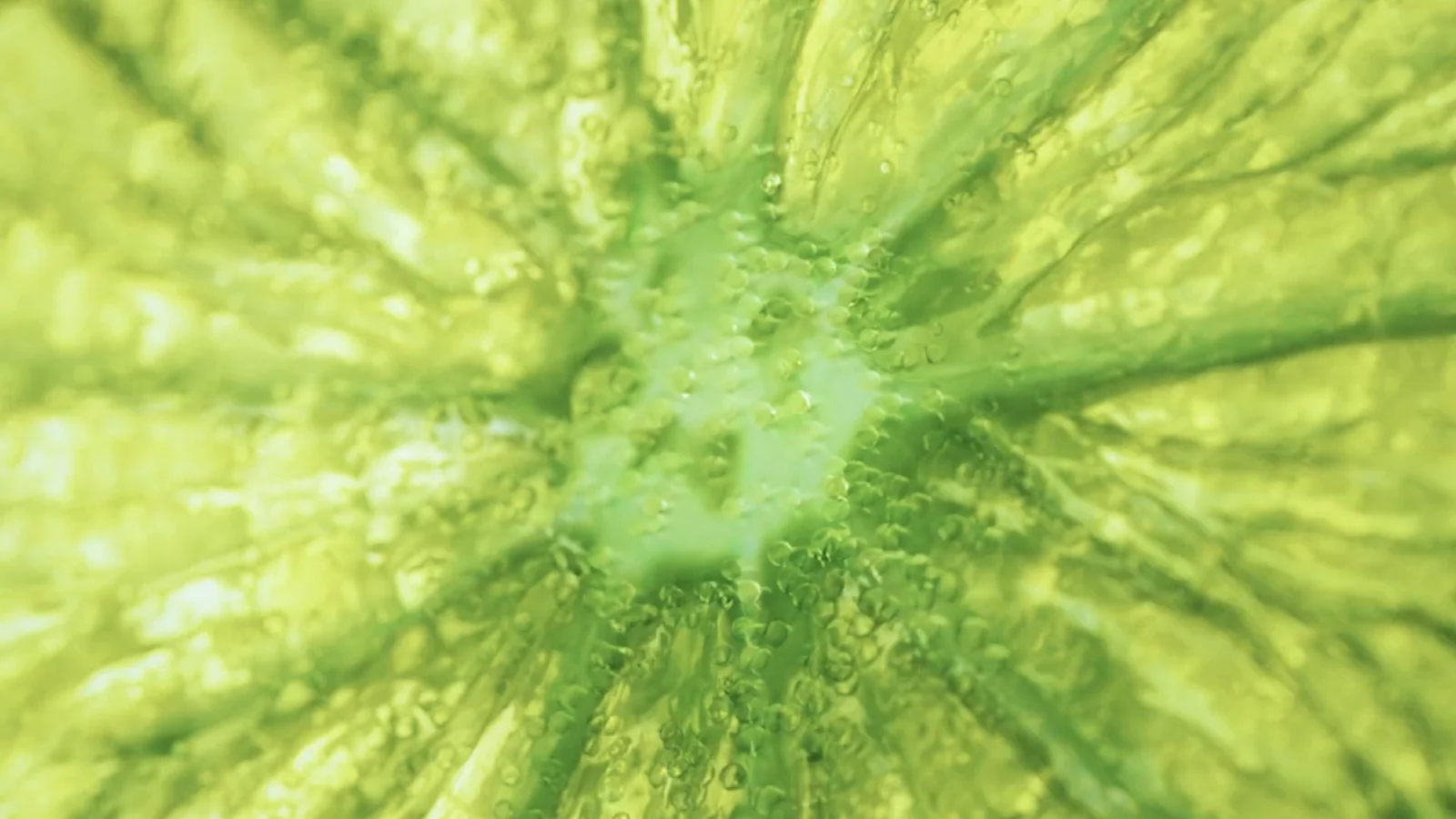Lime, macro